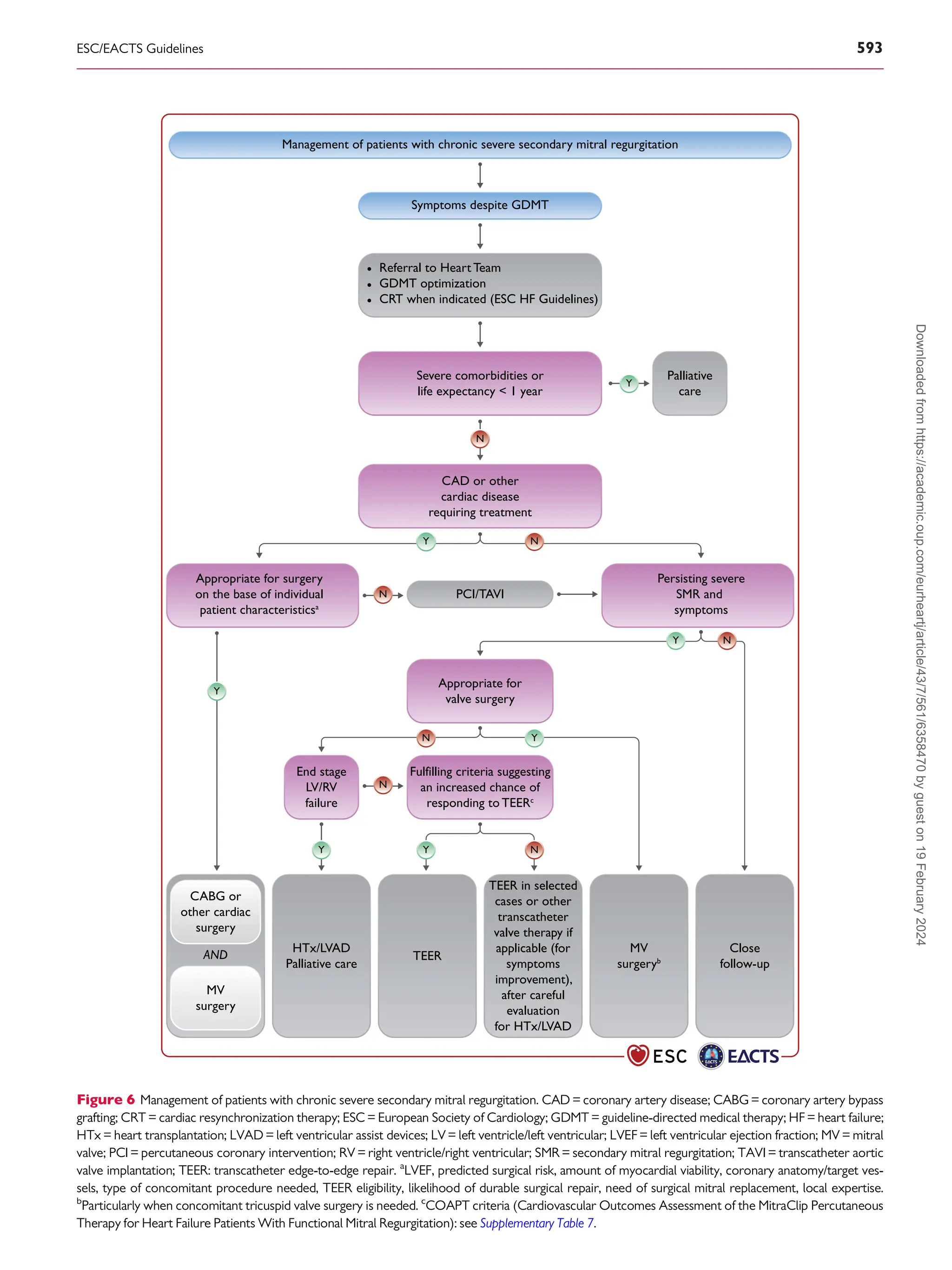 EUROPEAN HEART SOCIETY GUIDELINES visual data 6