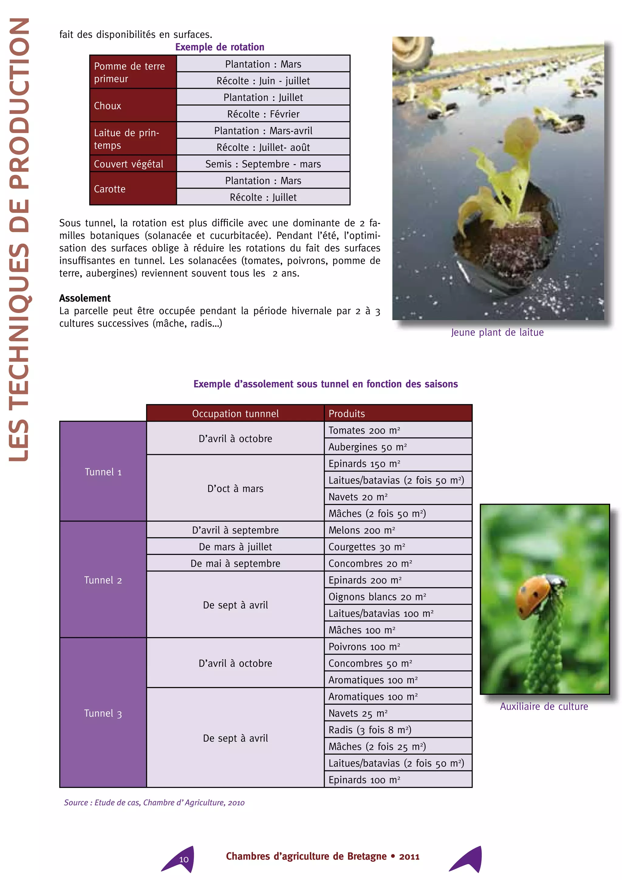 Chambres d’agriculture de Bretagne • 201110
fait des disponibilités en surfaces.
Exemple de rotation
Pomme de terre
primeur
Plantation : Mars
Récolte : Juin - juillet
Choux
Plantation : Juillet
Récolte : Février
Laitue de prin-
temps
Plantation : Mars-avril
Récolte : Juillet- août
Couvert végétal Semis : Septembre - mars
Carotte
Plantation : Mars
Récolte : Juillet
Sous tunnel, la rotation est plus difficile avec une dominante de 2 fa-
milles botaniques (solanacée et cucurbitacée). Pendant l’été, l’optimi-
sation des surfaces oblige à réduire les rotations du fait des surfaces
insuffisantes en tunnel. Les solanacées (tomates, poivrons, pomme de
terre, aubergines) reviennent souvent tous les 2 ans.
Assolement
La parcelle peut être occupée pendant la période hivernale par 2 à 3
cultures successives (mâche, radis…)
Exemple d’assolement sous tunnel en fonction des saisons
Occupation tunnnel Produits
Tunnel 1
D’avril à octobre
Tomates 200 m2
Aubergines 50 m2
D’oct à mars
Epinards 150 m2
Laitues/batavias (2 fois 50 m2
)
Navets 20 m2
Mâches (2 fois 50 m2
)
Tunnel 2
D’avril à septembre Melons 200 m2
De mars à juillet Courgettes 30 m2
De mai à septembre Concombres 20 m2
De sept à avril
Epinards 200 m2
Oignons blancs 20 m2
Laitues/batavias 100 m2
Mâches 100 m2
Tunnel 3
D’avril à octobre
Poivrons 100 m2
Concombres 50 m2
Aromatiques 100 m2
De sept à avril
Aromatiques 100 m2
Navets 25 m2
Radis (3 fois 8 m2
)
Mâches (2 fois 25 m2
)
Laitues/batavias (2 fois 50 m2
)
Epinards 100 m2
Source : Etude de cas, Chambre d’Agriculture, 2010
LESTECHNIQUESDEPRODUCTION
Jeune plant de laitue
Auxiliaire de culture
 