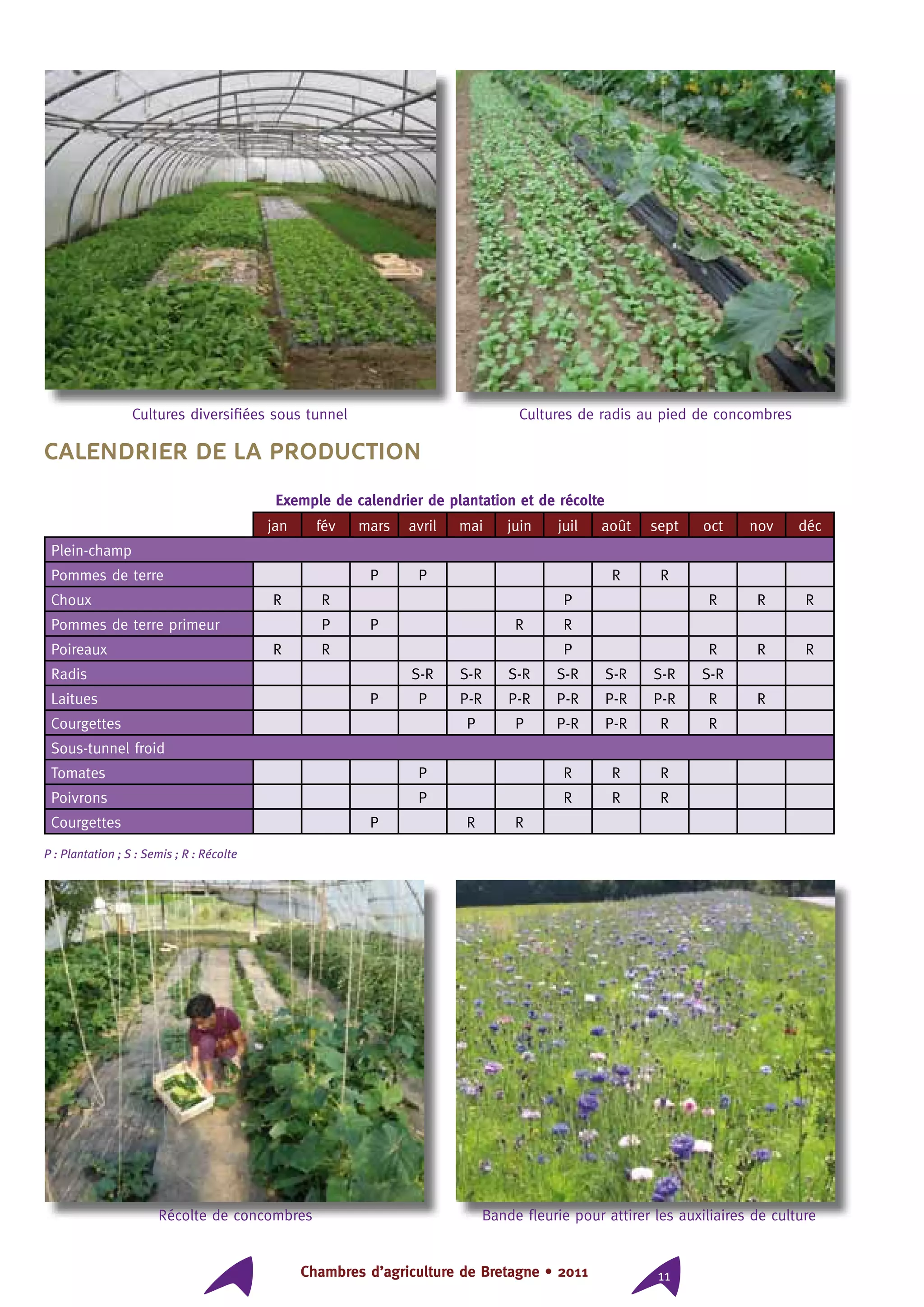 Chambres d’agriculture de Bretagne • 2011 11
Calendrier de la production
Exemple de calendrier de plantation et de récolte
jan fév mars avril mai juin juil août sept oct nov déc
Plein-champ
Pommes de terre P P R R
Choux R R P R R R
Pommes de terre primeur P P R R
Poireaux R R P R R R
Radis S-R S-R S-R S-R S-R S-R S-R
Laitues P P P-R P-R P-R P-R P-R R R
Courgettes P P P-R P-R R R
Sous-tunnel froid
Tomates P R R R
Poivrons P R R R
Courgettes P R R
P : Plantation ; S : Semis ; R : Récolte
Cultures diversifiées sous tunnel Cultures de radis au pied de concombres
Bande fleurie pour attirer les auxiliaires de cultureRécolte de concombres
 