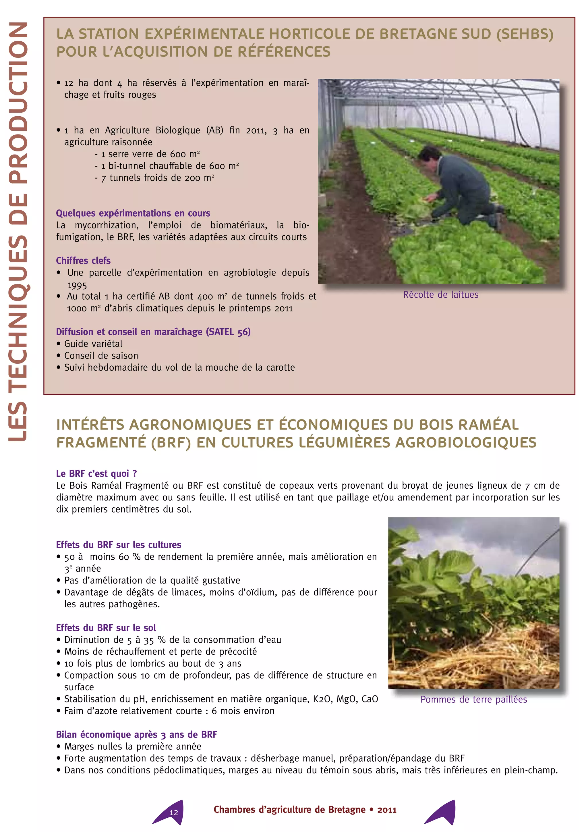 Chambres d’agriculture de Bretagne • 201112
Intérêts agronomiques et économiques du Bois raméal
Fragmenté (BRF) en cultures légumières agrobiologiques
Le BRF c’est quoi ?
Le Bois Raméal Fragmenté ou BRF est constitué de copeaux verts provenant du broyat de jeunes ligneux de 7 cm de
diamètre maximum avec ou sans feuille. Il est utilisé en tant que paillage et/ou amendement par incorporation sur les
dix premiers centimètres du sol.
Effets du BRF sur les cultures
• 50 à moins 60 % de rendement la première année, mais amélioration en
3e
année
• Pas d’amélioration de la qualité gustative
• Davantage de dégâts de limaces, moins d’oïdium, pas de différence pour
les autres pathogènes.
Effets du BRF sur le sol
• Diminution de 5 à 35 % de la consommation d’eau
• Moins de réchauffement et perte de précocité
• 10 fois plus de lombrics au bout de 3 ans
• Compaction sous 10 cm de profondeur, pas de différence de structure en
surface
• Stabilisation du pH, enrichissement en matière organique, K2O, MgO, CaO
• Faim d’azote relativement courte : 6 mois environ
Bilan économique après 3 ans de BRF
• Marges nulles la première année
• Forte augmentation des temps de travaux : désherbage manuel, préparation/épandage du BRF
• Dans nos conditions pédoclimatiques, marges au niveau du témoin sous abris, mais très inférieures en plein-champ.
LESTECHNIQUESDEPRODUCTION La Station Expérimentale Horticole de Bretagne Sud (SEHBS)
pour l’acquisition de références
• 12 ha dont 4 ha réservés à l’expérimentation en maraî-
chage et fruits rouges
• 1 ha en Agriculture Biologique (AB) fin 2011, 3 ha en
agriculture raisonnée
	 - 1 serre verre de 600 m2
	 - 1 bi-tunnel chauffable de 600 m2
	 - 7 tunnels froids de 200 m2
Quelques expérimentations en cours
La mycorrhization, l’emploi de biomatériaux, la bio-
fumigation, le BRF, les variétés adaptées aux circuits courts
Chiffres clefs
• Une parcelle d’expérimentation en agrobiologie depuis
1995
• Au total 1 ha certifié AB dont 400 m2
de tunnels froids et
1000 m2
d’abris climatiques depuis le printemps 2011
Diffusion et conseil en maraîchage (SATEL 56)
• Guide variétal
• Conseil de saison
• Suivi hebdomadaire du vol de la mouche de la carotte
Récolte de laitues
Pommes de terre paillées
 