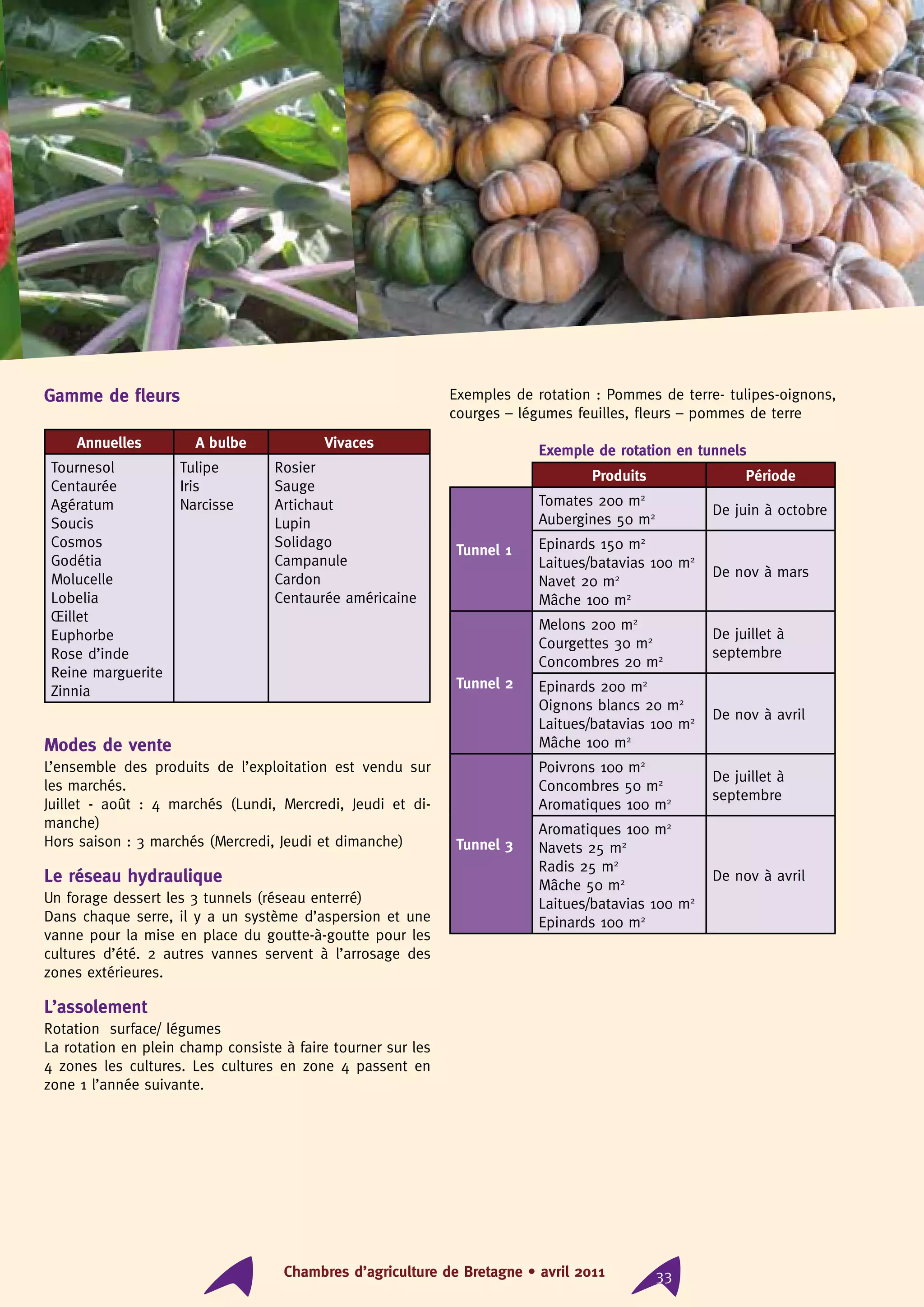 Chambres d’agriculture de Bretagne • avril 2011 33
Gamme de fleurs
Annuelles A bulbe Vivaces
Tournesol
Centaurée
Agératum
Soucis
Cosmos
Godétia
Molucelle
Lobelia
Œillet
Euphorbe
Rose d’inde
Reine marguerite
Zinnia
Tulipe
Iris
Narcisse
Rosier
Sauge
Artichaut
Lupin
Solidago
Campanule
Cardon
Centaurée américaine
		
Modes de vente
L’ensemble des produits de l’exploitation est vendu sur
les marchés.
Juillet - août : 4 marchés (Lundi, Mercredi, Jeudi et di-
manche)
Hors saison : 3 marchés (Mercredi, Jeudi et dimanche)
Le réseau hydraulique
Un forage dessert les 3 tunnels (réseau enterré)
Dans chaque serre, il y a un système d’aspersion et une
vanne pour la mise en place du goutte-à-goutte pour les
cultures d’été. 2 autres vannes servent à l’arrosage des
zones extérieures.
L’assolement
Rotation surface/ légumes
La rotation en plein champ consiste à faire tourner sur les
4 zones les cultures. Les cultures en zone 4 passent en
zone 1 l’année suivante.
Exemples de rotation : Pommes de terre- tulipes-oignons,
courges – légumes feuilles, fleurs – pommes de terre
Exemple de rotation en tunnels
Produits Période
Tunnel 1
Tomates 200 m2
Aubergines 50 m2 De juin à octobre
Epinards 150 m2
Laitues/batavias 100 m2
Navet 20 m2
Mâche 100 m2
De nov à mars
Tunnel 2
Melons 200 m2
Courgettes 30 m2
Concombres 20 m2
De juillet à
septembre
Epinards 200 m2
Oignons blancs 20 m2
Laitues/batavias 100 m2
Mâche 100 m2
De nov à avril
Tunnel 3
Poivrons 100 m2
Concombres 50 m2
Aromatiques 100 m2
De juillet à
septembre
Aromatiques 100 m2
Navets 25 m2
Radis 25 m2
Mâche 50 m2
Laitues/batavias 100 m2
Epinards 100 m2
De nov à avril
 