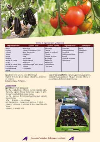 à-goutte en serre (un peu aussi à l’extérieur)
Irrigation de mai à début octobre à l’extérieur, toute l’an-
née en serre.
Globalement peu d’irrigation.
L’assolement
6 parcelles (exemple 2009-2010) :
• 0.5 ha : productions à rotations courtes : salades, radis,
épinards, oignons blancs, betteraves rouges de prin-
temps, fenouils, blettes, choux raves...
• 0,5 ha : pommes de terre/carottes/choux puis cultures
de printemps
• 1 ha : ¼ de choux + ¾ de poireaux
• 0.8 ha : carottes + courges, puis poireaux et céleris
• 3000 m2
: oignons et pommes de terre nouvelles puis
choux
• 3000 m2
en engrais verts
1000 m2
² de serres froides : tomates, poivrons, aubergines,
concombres, courgettes en été, puis épinards, mâche, oi-
gnons blancs, betteraves de printemps.
Chambres d’agriculture de Bretagne • avril 2011 37
Gamme de légumes (30 à 40 légumes)
Légumes feuilles Légumes fruits Légumes racines Légumes fleurs Aromatiques
Blette
Cardon
Epinard
Salade
Laitue
Batavia
Feuille de chêne
rouge
Feuille de chêne verte
Chicorée scarole
Chicorée frisée
Mâche
Aubergine
Courge (Potimarron, Paty
Doux, Butternut)
Courgette
Fève
Haricot vert
Haricot beurre
Petits pois
Poivrons (rouge, noir, jaune)
Tomate
Concombre
Betterave
Carotte
Navet (2 variétés)
Oignon
Pomme de terre
Rutabaga
Radis noir
Radis rose
Topinambour
Chou rave
Chou fleur
Chou romanesco
Chou frisé
Chou pommé lisse
Brocoli
Chou de Bruxelles
Chou rouge
Persil
Ciboulette
Basilic
 