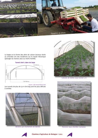 Chambres d’agriculture de Bretagne • 2011 7
La largeur et la forme des abris de culture (arceaux droits
ou arrondis) ont des incidences sur le travail mécanique
(passage du tracteur plus ou moins facilité).
Tunnel droit 7.80m de large
source : site serres Val de Loire
Les tunnels de plus de 30 m de long sont les plus délicats
à ventiler.
Aération par écartement de bâches
Cultures de bettes sous tunnel 5 m
Forçage sous chassis verre
Plantation de laitues
Poivrons sous chenilles nantaises
 