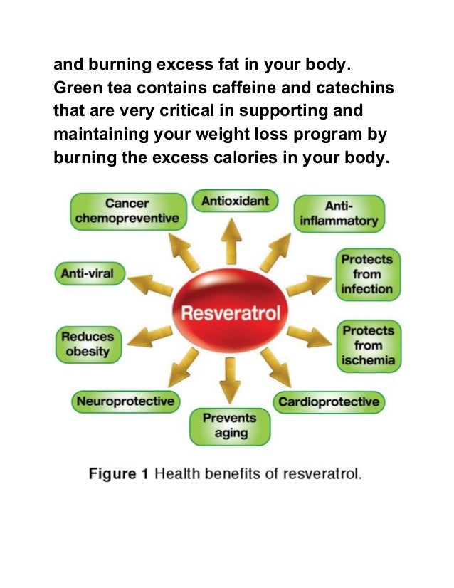 Guide on how to speed up your metabolism 2018