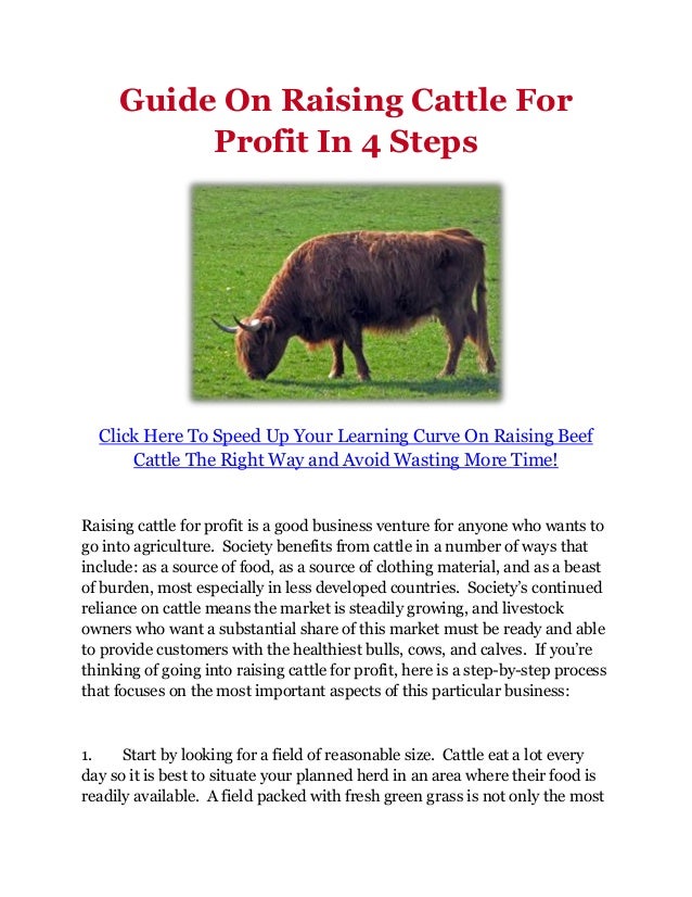Guide On Raising Cattle For Profit In 4 Steps