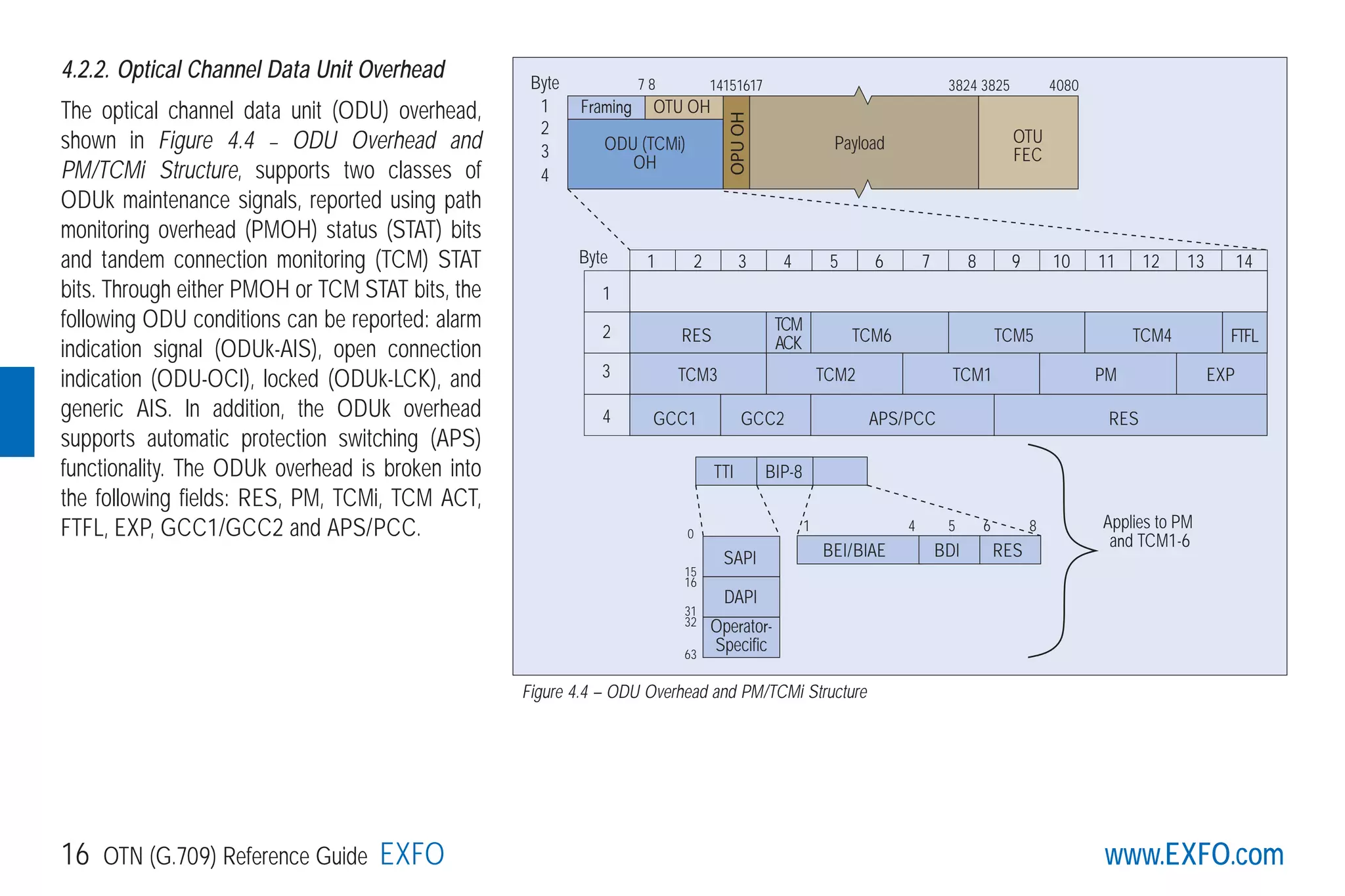 www.EXFO.com16 OTN (G.709) Reference Guide EXFO
4.2.2. Optical Channel Data Unit Overhead
The optical channel data unit (ODU) overhead,
shown in Figure 4.4 – ODU Overhead and
PM/TCMi Structure, supports two classes of
ODUk maintenance signals, reported using path
monitoring overhead (PMOH) status (STAT) bits
and tandem connection monitoring (TCM) STAT
bits. Through either PMOH or TCM STAT bits, the
following ODU conditions can be reported: alarm
indication signal (ODUk-AIS), open connection
indication (ODU-OCI), locked (ODUk-LCK), and
generic AIS. In addition, the ODUk overhead
supports automatic protection switching (APS)
functionality. The ODUk overhead is broken into
the following fields: RES, PM, TCMi, TCM ACT,
FTFL, EXP, GCC1/GCC2 and APS/PCC.
Framing OTU OH
Byte
Byte
1
2
3
4
Payload OTU
FEC
ODU (TCMi)
OH
1
1
2 3 4 5 6 7 8 9 10 11 12 13 14
RES TCM6 TCM5 TCM4
TCM
ACK FTFL2
TCM3 TCM2 TCM1 PM EXP3
GCC1 GCC2 APS/PCC RES4
TTI
BEI/BIAE BDI RES
BIP-8
0
15
16
31
32
63
Applies to PM
and TCM1-6
SAPI
DAPI
Operator-
Specific
OPUOH
1 4 65 8
7 8 14151617 3824 3825 4080
Figure 4.4 – ODU Overhead and PM/TCMi Structure
G709_1AN_final.qxd:Guide Ethernet.1AN 5/7/07 11:11 AM Page 16
 
