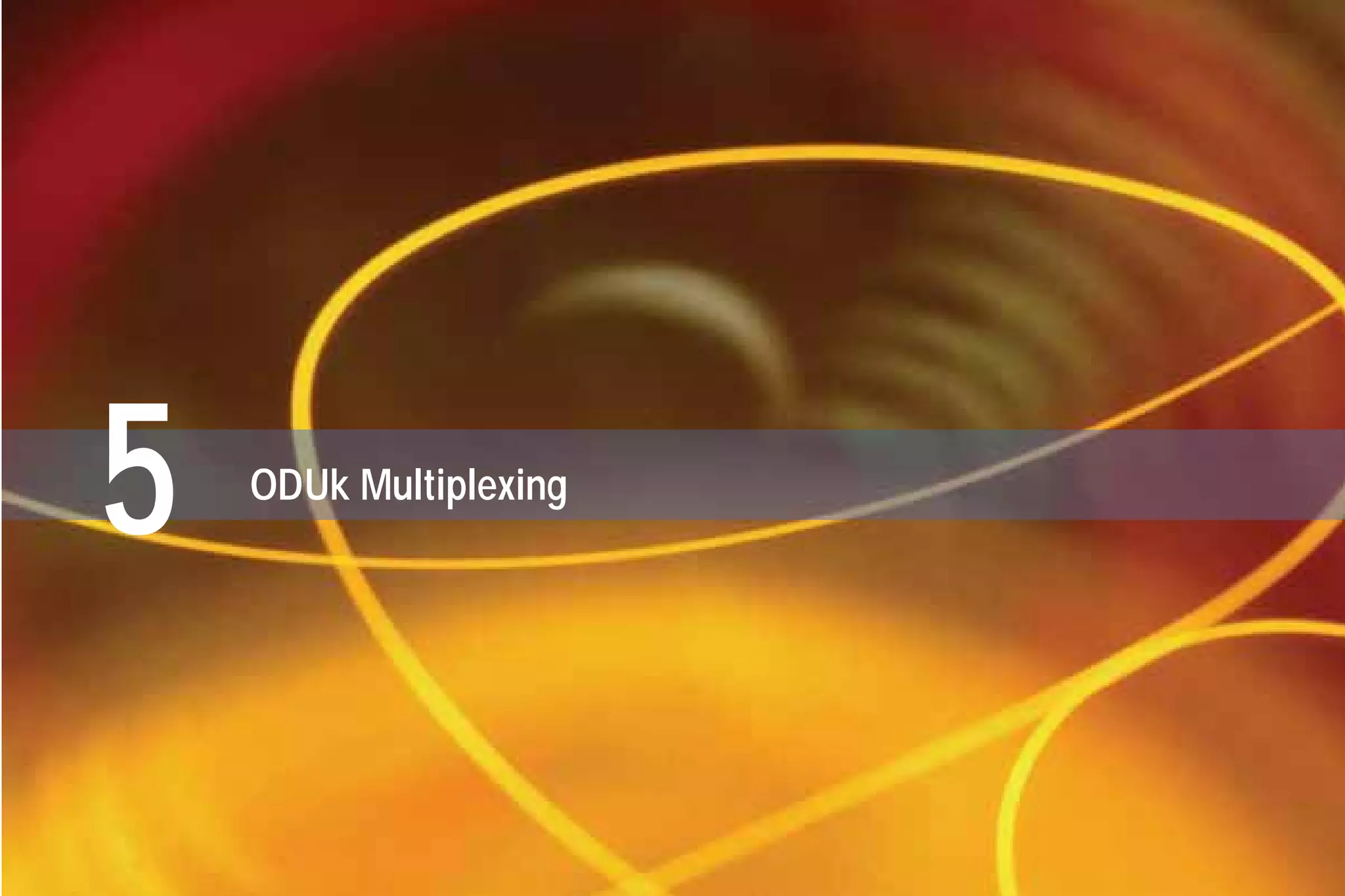 www.EXFO.com
5 ODUk Multiplexing
G709_1AN_final.qxd:Guide Ethernet.1AN 5/7/07 11:11 AM Page 29
 