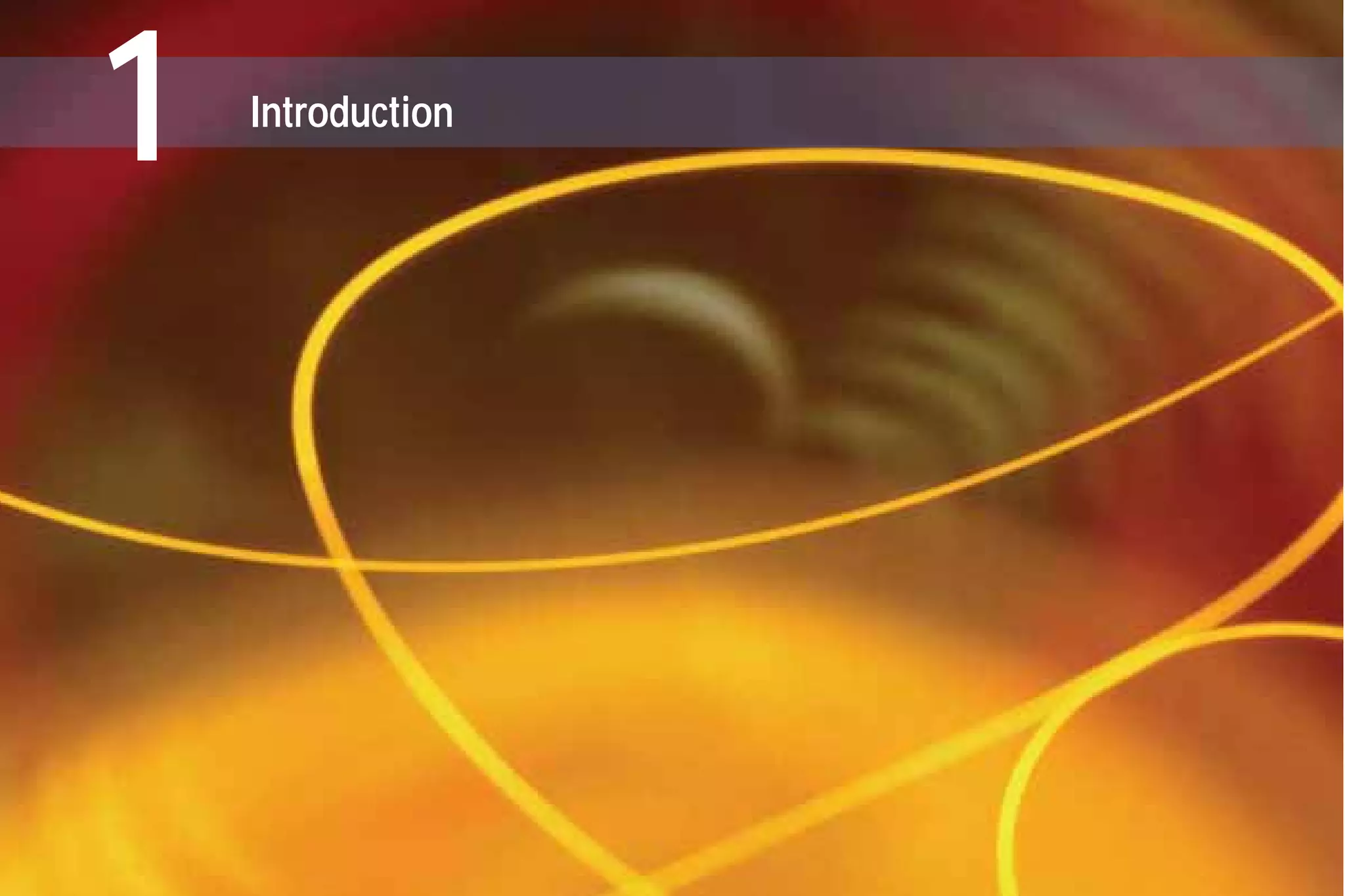 1 Introduction
G709_1AN_final.qxd:Guide Ethernet.1AN 5/7/07 11:11 AM Page 2
 