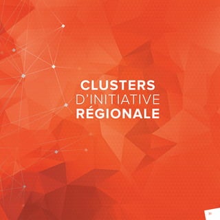 CLUSTERS 
D’INITIATIVE 
RÉGIONALE 
31 
 