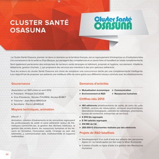 Le Cluster Santé Osasuna, premier né dans ce domaine sur le territoire français, est un regroupement d’entreprises et d’institutions liées 
à la connaissance de la santé au Pays Basque, qui partagent des compétences et un savoir-faire et travaillent en totale complémentarité. 
Sont également partenaires des entreprises de secteurs variés (énergies et bâtiment, propreté et hygiène, recrutement, hôtellerie, 
téléphonie, gestion d’achats…), qui proposent des services aux membres à des prix spéciaux adhérents. 
Tous les acteurs du cluster Santé Osasuna ont choisi de remplacer une concurrence stérile par une complémentarité intelligente. 
Leur objectif est de proposer aux patients une meilleure o re de soins grâce aux di érents travaux conduits avec les établissements. 
Gouvernance 
Association Loi 1901 créée en avril 2012 
 Président : Philippe DUCASSE 
 Vice-Présidents : Nicolas ITHURRIA, Nicolas BOBET 
 Trésorier: Jean-Marie BRIDOUX 
 Secrétaire: Pierre LAFARGUE 
Moyens techniques, animation 
E ectif : 1 
Animation, création d’événements et de rencontres regroupant 
les professionnels de santé et autre adhérents autour de thé-matiques 
communes (ex. la gestion des déchets médicaux, la 
gestion des achats divers, les ressources humaines et les be-soins 
en formation, l’innovation santé, l’énergie au sein des 
bâtiments...), communication web, institutionnelle et supports 
multimédias. 
Domaines d’activités 
 Mutualisation économique 
 Environnement et RD 
 Communication 
 Ressources humaines 
Chi res clés 2013 
 160 adhérents (établissements de santé, de soins de suite, 
EHPAD, centres de rééducation, cliniques psychiatriques, 
laboratoires biologiques, cabinets de radiologie, pharmacies, 
bureau de recherche, entreprises de services) 
 4 300 lits regroupés 
 5741 salariés regroupés 
 410 M€ de CA 
 265000 € d’économies réalisées par des adhérents 
Projets de RD labellisés 
 Développement d’un outil d’aide aux aidants des personnes 
âgées et / ou handicapées (en lien avec la Silver Economie) 
 Création d’outils en ligne d’aide à la gestion des Ressources 
Humaines 
CLUSTER SANTÉ 
OSASUNA 
92 
 