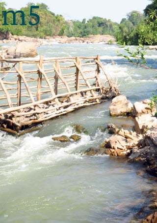 104
III
m5
L
I
G
N
E
S
D
I
R
E
C
T
R
I
C
E
S
 