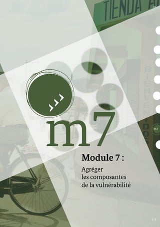 Module 7 :
Agréger
les composantes
de la vulnérabilité
m7 m7
133
III
 