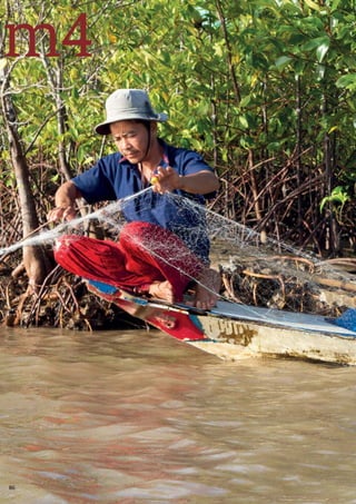 86
III
m4
L
I
G
N
E
S
D
I
R
E
C
T
R
I
C
E
S
 