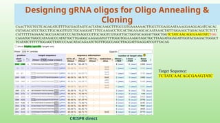 Guide RNA Design for High-Efficiency CRISPR/Cas9 Genome Editing | PPTX