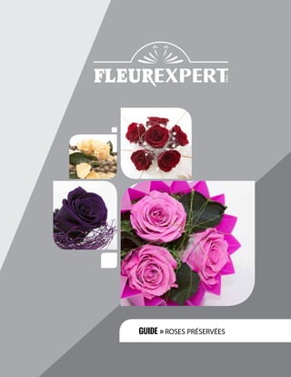 Votre Guide Fleurexpert sur les Roses Préservées 