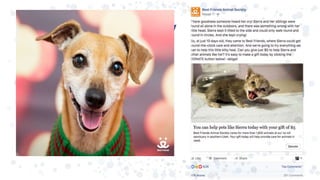 • Target audience
• Strategic content
• Engaging posts
• Pre-set contribution amounts
• Clear directions
Increase Donate activity
 