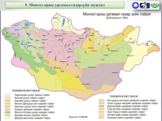 Guide surgalt flora of mongolia | PPT