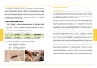 3.2.3 Production de suppléments de fourrage                                                                               3.3 Conservation du fourrage
     L'approvisionnement annuel équilibré en fourrage, ainsi que le maintien d'une alimentation balancée en
fourrage sont importants pour l'intensification de l'élevage. Tout particulièrement dans la région du Sahel, où la        3.3.1 Herbes séchées
croissance du bétail est entravée par l'insuffisance en minéraux, le bétail a besoin qu'on lui fournisse, outre le           Afin de favoriser la croissance du bétail de façon efficace, d'élever son taux de reproduction et d'en obtenir le
fourrage naturel, un supplément en minéraux essentiels. Pour cela, un des moyens consiste à fabriquer des blocs           plus de produits possible, nous avons vu qu'il importait, dans la mesure du possible, d'éliminer les variations du
nutritifs d'urée en tant que supplément de fourrage, moyen que peuvent facilement adopter les agriculteurs. Nous          volume de fourniture de fourrage selon la saison. Un moyen extrêmement efficace consiste alors à utiliser les
abordons ci-dessous la méthode pour fabriquer et donner ces blocs au bétail, ainsi que la question du coût. Quant         herbes sauvages qui ont connu une pleine croissance pendant la saison humide pour fabriquer des herbes séchées
aux effets productifs de l'apport de blocs nutritifs, ils sont présentés dans la section 3.3.2, où il est question de     que l'on donnera aux bêtes pendant la saison sèche, pauvre en fourrage.
leur utilisation combinée avec le mil additionné d'urée.                                                                     Afin d'assurer au maximum la valeur nutritive et le volume de matières sèches lors de la préparation des
                                                                                                                          herbes séchées, la période idéale pour leur récolte correspond à celle du début de l'épiaison pour les graminées,
1) Méthode de fabrication et de fourniture                                                                                et à celle du début de la floraison pour les légumineuses, soit généralement à la fin du mois d'août. Si on procède
     (a) Faire dissoudre 1 kg d'urée, 1,5 kg de ciment et 1 kg de sel dans 5 litres d'eau, ajouter petit à petit 6,5 kg   plus tôt, le volume de matières sèches récoltées est peu élevé, et si on procéde plus tard, les matières sèches sont
        de son de mil. Une fois le mélange devenu uniforme dans le récipient, faire sécher et durcir à l'ombre            nombreuses mais leur valeur nutritive est peu élevée. Par contre, on se trouve alors encore en saison humide, et il
        pendant environ 10 jours.                                                                                         s'agit d'une période où les travaux dans les champs tiennent les gens occupés. Il est important, dans cette région,
     (b) Une fois durci, le donner au bétail ruminant en l'ajoutant graduellement au fourrage pour habituer les           d'effectuer la récolte des herbes sauvages pendant la deuxième moitié de la saison humide, à une étape où la
        bêtes.                                                                                                            baisse de leur valeur nutritionnelle n'est pas encore marquée.
     (c) Le Tableau 3.2.3.1 donne un exemple de la façon de le donner aux bêtes.
                                                                                                                             Après la préparation dans les champs, afin d'effectuer le stockage au cours de la saison sèche, il importe de
Tableau 3.2.3.1 Exemple de fourniture aux bêtes de blocs nutritifs d'urée                                                 considérer la mise en place de conditions qui permettent la prévention de la baisse de la valeur nutritive, qui
                                1ère semaine                    2e semaine                  3e semaine et après           permettent d'assurer un lieu de stockage et qui facilitent la fourniture des matières sèches aux bêtes. Pour cela,
     Bovins                   100 g, 2 fois/jour             200g, 2 fois/jour               300g, 2 fois/jour            une fois comprimées dans des caisses d'empaquetage, il est souhaitable qu'elles soient stockées dans un fenil
     Caprins/Ovins             15g, 2 fois/jour               30g, 2 fois/jour                50g, 2 fois/jour            bien aéré. Le Tableau 3.3.1 présente les résultats d'analyses nutritionnelles comparatives effectuées pour diverses
(Ces blocs nutritifs peuvent être conservés de quelques mois à 2 ans dans les endroits sans humidité.)                    périodes de récolte sur des herbes sauvages fraîches, des herbes sauvages séchées sur pied et des herbes séchées
                                                                                                                          et stockées de bonne qualité. Les résultats de cette étude permettent de constater que plus les herbes séchées ont
     Coût de fabrication : pour la fabrication de 10 kg (prix unitaire pour l'année 2000)                                 été fauchées au bon moment et conservées dans de bonnes conditions, plus leur valeur nutritive est élevée.
                 Urée :    200 FCFA/kg      1 kg = 200 FCFA
                 Ciment : 100 FCFA/kg       1,5 kg = 150 FCFA                                                                Dans la zone de Dori au Burkina Faso, on fabrique des produits de bonne qualité. Outre le fait que les fauches
                 Sel :     100 FCFA/kg      1 kg = 100 FCFA                                                               ont été effectuées au moment approprié, cela découle également des outils utilisés pour la fauche et de la mise en
                 Son :     125 FCFA/kg      6,5 kg = 813 FCFA                                                             place d'installations. Les outils utilisés sont la faux à long manche, le râteau, la charrette tirée par un âne, des
                 Total :   Environ 1.265 FCFA pour 10 kg                                                                  caisses d'empaquetage simples et le fenil (voir les photos à la page 39). Ainsi, il convient d'effectuer de façon
                                                                                                                          concentrée les travaux de préparation des herbes séchées, juste après les travaux des récoltes céréalières, et des
                                                                                                                          outils spécifiques sont nécessaires pour assurer la qualité et le volume de production d'herbes séchées. Nous
                                                                                                                          abordons ci-dessous la procédure de fabrication des herbes séchées et les points auxquels il faut prêter attention.




Blocs d'urée                                                 Façon de donner les blocs d'urée aux bêtes


36                                                                                                                                                                                                                                              37
 