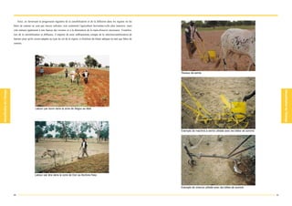 Ainsi, en favorisant la progression régulière de la sensibilisation et de la diffusion dans les régions où les
bêtes de somme ne sont pas encore utilisées, non seulement l'agriculture deviendra-t-elle plus intensive, mais
cela mènera également à une hausse des revenus et à la diminution de la main-d'oeuvre nécessaire. Toutefois,
lors de la sensibilisation et diffusion, il importe de tenir suffisamment compte de la sélection/amélioration de
harnais pour qu'ils soient adaptés au type de sol de la région, et d'utiliser du bétail adéquat en tant que bêtes de
somme.




                                                                                                                       Travaux de semis




                      Labour par bovin dans la zone de Ségou au Mali




                                                                                                                       Exemple de machine à semis utilisée avec les bêtes de somme




                     Labour par âne dans la zone de Dori au Burkina Faso



                                                                                                                       Exemple de charrue utilisée avec les bêtes de somme

60                                                                                                                                                                                   61
 