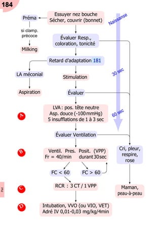 184
Préma
si clamp.
précoce
Milking
LA méconial
Aspiration
Essuyer nez bouche
Sécher, couvrir (bonnet)
Évaluer Resp.,
coloration, tonicité
Retard d’adaptation 181
Stimulation
Évaluer
LVA : pos. tête neutre
Asp. douce (-100mmHg)
5 insufflations de 1 à 3 sec
Évaluer Ventilation
Ventil. Pres. Posit. (VPP)
Fr = 40/min durant30sec
FC < 60 FC > 60
RCR : 3 CT / 1 VPP
Intubation, VVO (ou VIO, VET)
Adré IV 0,01-0,03 mg/kg/4min
Cri, pleur,
respire,
rose
Maman,
peau-à-peau
Ped
 