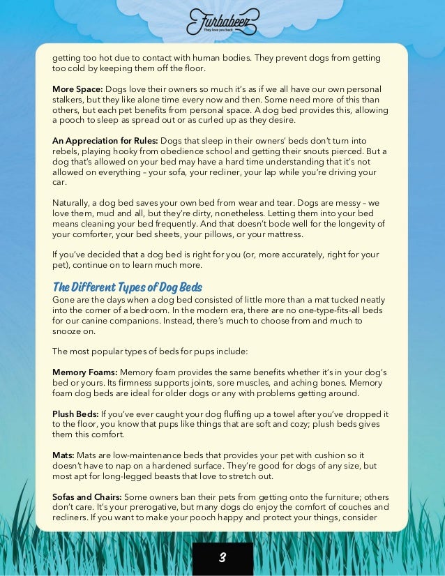 Furbabeez Pet Boutique