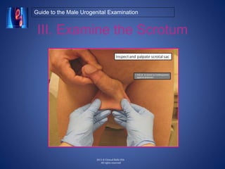 A Guide to the Clinical Male Urogenital Examination