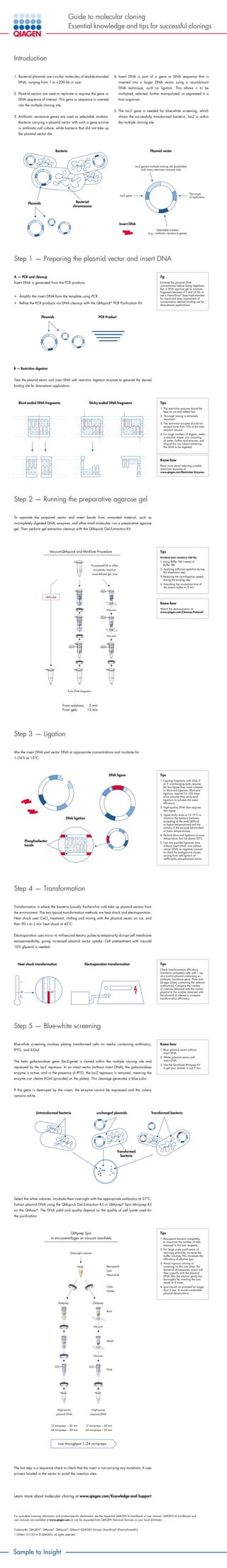 Guide to molecular cloning
Essential knowledge and tips for successful clonings
Introduction
1. Bacterial plasmids are circular molecules of double-stranded
DNA, ranging from 1 to 200 kb in size.
2. Plasmid vectors are used to replicate or express the gene or
DNA sequence of interest. This gene or sequence is inserted
into the multiple cloning site.
3. Antibiotic resistance genes are used as selectable markers.
Bacteria carrying a plasmid vector with such a gene survive
in antibiotic cell culture, while bacteria that did not take up
the plasmid vector die.
4. Insert DNA is part of a gene or DNA sequence that is
inserted into a larger DNA vector using a recombinant
DNA technique, such as ligation. This allows it to be
multiplied, selected, further manipulated, or expressed in a
host organism.
5. The lacZ gene is needed for blue-white screening, which
shows the successfully transformed bacteria. lacZ is within
the multiple cloning site
Step 1 — Preparing the plasmid vector and insert DNA
A — PCR and cleanup
Insert DNA is generated from the PCR products.
•	 Amplify the insert DNA from the template using PCR.
•	 Refine the PCR products via DNA cleanup with the QIAquick®
PCR Purification Kit.
B — Restriction digestion
Treat the plasmid vector and insert DNA with restriction digestion enzymes to generate the desired
binding site for downstream applications.
Step 2 — Running the preparative agarose gel
To separate the prepared vector and insert bands from unwanted material, such as
incompletely digested DNA, enzymes, and other small molecules, run a preparative agarose
gel. Then perform gel extraction cleanup with the QIAquick Gel Extraction Kit.
Step 3 — Ligation
Mix the insert DNA and vector DNA at appropriate concentrations and incubate for
1–24 h at 15°C.
Step 4 — Transformation
Transformation is where the bacteria (usually Escherichia coli) take up plasmid vectors from
the environment. The two typical transformation methods are heat shock and electroporation.
Heat shock uses CaCl2
treatment, chilling and mixing with the plasmid vector on ice, and
then 90 s to 2 min heat shock at 42°C.
Electroporation uses micro- to millisecond electric pulses to temporarily disrupt cell membrane
semipermeability, giving increased plasmid vector uptake. Cell pretreatment with ice-cold
10% glycerol is needed.
Step 5 — Blue-white screening
Blue-white screening involves plating transformed cells on media containing antibiotics,
IPTG, and X-Gal.
The beta galactosidase gene (lacZ-gene) is cloned within the multiple cloning site and
repressed by the lacZ repressor. In an intact vector (without insert DNA), the galactosidase
enzyme is active, and in the presence of IPTG, the lacZ repressor is removed, meaning the
enzyme can cleave X-Gal (provided on the plates). This cleavage generates a blue color.
If the gene is destroyed by the insert, the enzyme cannot be expressed and the colony
remains white.
Select the white colonies. Incubate them overnight with the appropriate antibiotics at 37°C.
Extract plasmid DNA using the QIAquick Gel Extraction Kit or QIAprep®
Spin Miniprep Kit
on the QIAvac®
. The DNA yield and quality depend on the quality of cell lysate used for
the purification.
Sample to Insight
Tip
Estimate the plasmid DNA
concentration before doing digestions.
Run a DNA agarose gel to analyze
fragments between 0.1 and 25 kb, or
use a NanoDrop®
Spectrophotometer
for rapid and easy assessment of
concentration.desired binding site for
downstream applications.
Tips
1. The restriction enzyme should be
kept on ice and added last.
2. Thorough mixing is extremely
important.
3. The restriction enzyme should not
exceed more than 10% of the total
reaction volume.
4. For large numbers of digests, make
a reaction master mix consisting
of water, buffer, and enzyme, and
aliquot this into tubes containing
the DNA to be digested.
Tips
Increase your recovery rate by:
1. Using Buffer TAE instead of
Buffer TBE
2. Applying sufficient agitation during
the dissolution step
3. Reducing the centrifugation speed
during the binding step
4. Extending the incubation time of
the elution buffer to 5 min
Know-how
Watch the demonstration at
www.qiagen.com/Cleanup-Protocol/
Tips
1. Ligating fragments with 4-bp 3’
or 5’ overhanging ends requires
far less ligase than more complex
or blunt-end ligations. Blunt-end
ligations require 10–100 times
more enzyme than sticky-end
ligations to achieve the same
efficiency.
2.High-quality DNA also requires
less ligase.
3. Ligate sticky ends at 12–15°C to
maintain the balance between
annealing of the ends (difficult
at higher temperatures) and the
activity of the enzyme (diminished
at lower temperatures).
4. Perform blunt-end ligations at room
temperature, but not above 30°C.
5. Use two parallel ligations (one
without insert DNA, one without
vector DNA) as negative controls
to check for background clones
arising from self-ligation of
inefficiently phosphatized vector.
Tips
Check transformation efficiency.
Transform competent cells with 1 ng
of a control plasmid containing an
antibiotic resistance gene. Plate onto
LB-agar plates containing the relevant
antibiotic(s). Compare the number
of colonies obtained with the control
plasmid to the number obtained with
the plasmid of interest to compare
transformation efficiency.
Know-how
1. Blue: plasmid vector without
insert DNA
2. White: plasmid vector with
insert DNA
3. Use the QuickLyse Miniprep Kit
to get your answer in just 9 min.
Tips
1. Resuspend bacteria completely
to maximize the number of cells
exposed to the lysis reagents.
2. For large-scale purification of
low-copy plasmids, increase the
buffer volumes. This increases the
efficiency of alkaline lysis.
3. Avoid vigorous stirring or
vortexing as this can shear the
bacterial chromosome, which will
then copurify with the plasmid
DNA. Mix the solution gently but
thoroughly by inverting the lysis
vessel 4–6 times.
4. Lysis should not proceed for longer
than 5 min, to avoid irreversible
plasmid denaturation.
Know-how
Read more about selecting suitable
restriction enzymes at
www.qiagen.com/Restriction-Enzymes.
Learn more about molecular cloning at www.qiagen.com/Knowledge-and-Support
For up-to-date licensing information and product-specific disclaimers, see the respective QIAGEN kit handbook or user manual. QIAGEN kit handbooks and
user manuals are available at www.qiagen.com or can be requested from QIAGEN Technical Services or your local distributor.
Trademarks: QIAGEN®
, QIAprep®
, QIAquick®
, QIAvac®
(QIAGEN Group); NanoDrop®
(ThermoScientific)
1100661 01/2016 © QIAGEN, all rights reserved
The last step is a sequence check to check that the insert is not carrying any mutations. It uses
primers located in the vector to proof the insertion sites.
Bacteria
Plasmids Bacterial
chromosome
Plasmid vector
Insert DNA
The origin
of replication
Selectable markers
(e.g., antibiotic resistance genes)
VacuumQIAquick and MinElute Procedure
QIAquick and MinElute Procedure
PCR or other
enzymatic reaction or
solubilized gel slice
Pure DNA fragment
From solutions 5 min
From gels 15 min
ProcedurePCR or other
enzymatic reaction
orsolubilized gel slice
QIAcube
Pure DNA fragment
From solutions 	 5 min
From gels 	 15 min
Vacuum
Vacuum
lacZ gene
lacZ geneA multiple cloning site (polylinker)
with many restriction enzyme sites
Blunt-ended DNA fragments Sticky-ended DNA fragments
Plasmids PCR Product
A T T
T
T T
T
GT A A
A
A A
A
CG G GC C C
C
T A AA ACA T TT TGC C C
G
AAT TC
T CG
A GC
G G G
G
AG C
TC G
Heat shock transformation Electroporation transformation
42°
0
40
Untransformed bacteria unchanged plasmids
Transformed
bacteria
Transformed bacteria
Low throughput 1–24 minipreps
Overnight cultures
Resuspend
Lyse
Neutralize
Clear
lysates
QIAprep QIAprep
Vacuum
Vacuum
Bind
Wash
Elute
High-purity
plasmid DNA
12 minipreps – 26 min
24 minipreps – 30 min
12 minipreps – 20 min
24 minipreps – 25 min
High-purity
plasmid DNA
QIAprep Spin
in microcentrifuges on vacuum manifolds
Low throughput 1–24 minipreps
AGT CG C
TCA GC G
Phosphodiester
bonds
DNA ligation
DNA ligase
 