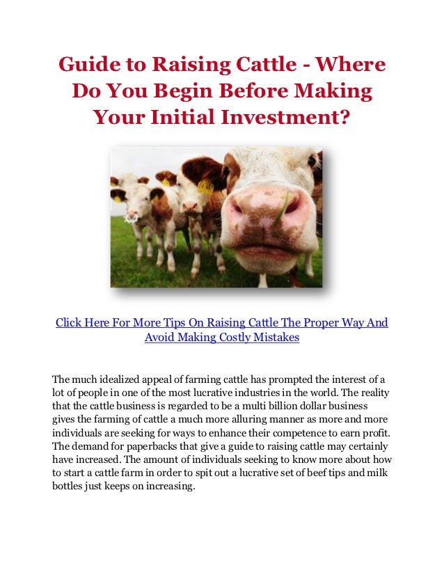 Guide to Raising Cattle Where Do You Begin Before Making Your Initial