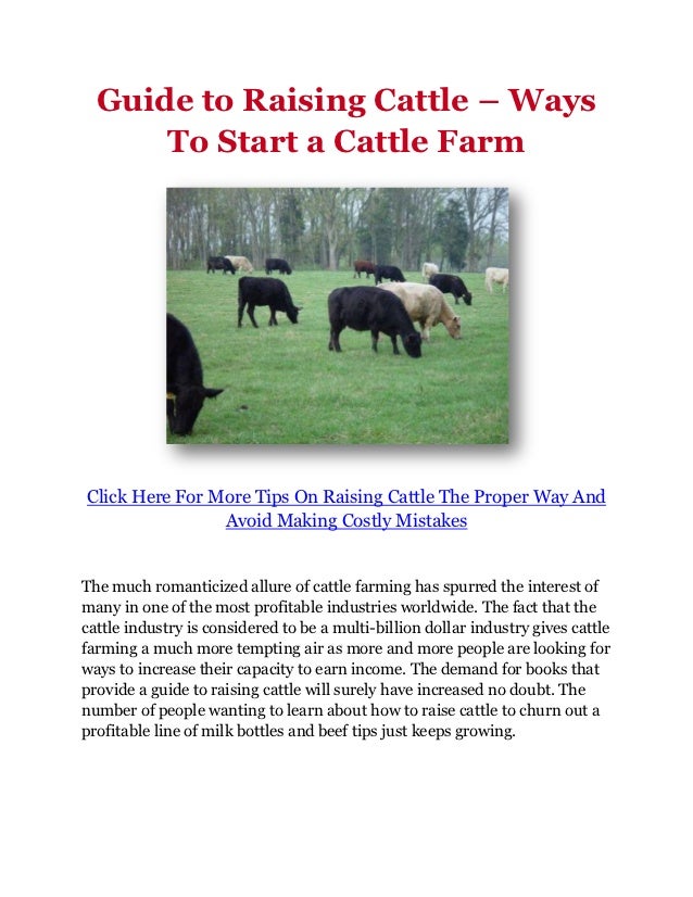 Guide to Raising Cattle Ways To Start a Cattle Farm