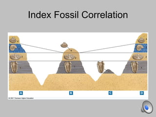 Index Fossil Correlation
 
