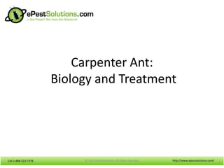 Call 1-888-523-7378Call 1-888-523-7378
Carpenter Ant:
Biology and Treatment
http://www.epestsolutions.com/© 2012 ePestSolutions. All rights reserved.
 