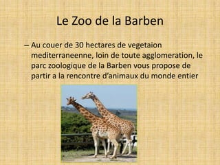 Le Zoo de la Barben
– Au couer de 30 hectares de vegetaion
mediterraneenne, loin de toute agglomeration, le
parc zoologique de la Barben vous propose de
partir a la rencontre d’animaux du monde entier
 