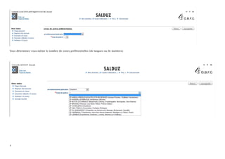 Vous déterminez vous-même le nombre de zones préférentielles (de langues ou de matières).




4
 