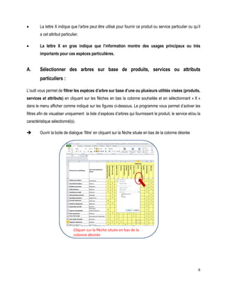 6 
 La lettre X indique que l’arbre peut être utilisé pour fournir ce produit ou service particulier ou qu’il a cet attribut particulier. 
 La lettre X en gras indique que l’information montre des usages principaux ou très importants pour ces espèces particulières. 
A. Sélectionner des arbres sur base de produits, services ou attributs particuliers : 
L’outil vous permet de filtrer les espèces d’arbre sur base d’une ou plusieurs utilités visées (produits, services et attributs) en cliquant sur les flèches en bas la colonne souhaitée et en sélectionnant « X » dans le menu afficher comme indiqué sur les figures ci-dessous. Le programme vous permet d’activer les filtres afin de visualiser uniquement la liste d’espèces d’arbres qui fournissent le produit, le service et/ou la caractéristique sélectionné(s). 
 Ouvrir la boite de dialogue ‘filtre’ en cliquant sur la flèche située en bas de la colonne désirée 
 