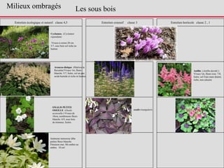 Entretien écologique et naturel classe 4,5 Entretien extensif classe 3 Entretien horticole classe 2 , 1
Aruncus dioïque (Matricaria
Recutita) Vivace 1m, fleurs
blanche. 5/7, lisère, sol un peu
acide humide et riche en humus
Cyclamen. (Cyclamen
repandum)
Vivace à corme 20 cm.
5/7, sous bois sol riche en
humus
Les sous bois
OXALIS PETITE
OSEILLE (Oxalis
acetosella ) Vivace de
10cm, nombreuses fleurs
blanche 6/9, sous bois
de résineux, lisière.
oxalis triangularis
Anémone nemorosa 'alba
petites fleurs blanche.
Floraison mai. Mi-ombre ou
ombre. 10 cm'
Astilbe (Astilbe davidii )
Vivace 1m, fleurs rose. 7/8,
lisère, sol Frais mais drainé,
riche, non calcaire
Milieux ombragés
 