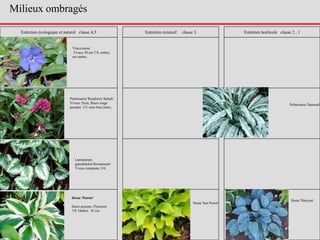 Entretien écologique et naturel classe 4,5 Entretien extensif classe 3 Entretien horticole classe 2 , 1
Pulmonaria 'Raspberry Splash'
Vivace 35cm, fleurs rouge
pourpre. 3/5, sous bois,lisère,
Vinca minor
Vivace 20 cm.7/8, ombre,
mi-ombre,
Lamiastrum
galeobdolon'florentinum'
Vivace rampante, 5/6,
Hosta 'Patriot'
fleurs pourpre. Floraison
7/8. Ombre. 45 cm
Pulmonaria 'Samuraï'
Hosta 'Sun Power'
Hosta 'Halcyon'
Milieux ombragés
 