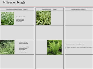 Entretien écologique et naturel classe 4,5 Entretien extensif classe 3 Entretien horticole classe 2 , 1
Carex 'Silver Sceptre'
Vivace 20cm, fleurs
rouge pourpre. 8/9,
sous bois,lisère,
Dryopteris filix-mas
‘linearis polydactylon’
H : 80 à 100 cm / Soleil,
mi-ombre ou ombre /
tous type de sol
Feuillage caduque.
Matteucia struthiopteris (plumes d’autruches)
H : 100 cm / mi-ombre ou ombre / tous type de sol mais apprécie
humidité
Milieux ombragés
 