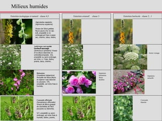 Entretien écologique et naturel classe 4,5 Entretien extensif classe 3 Entretien horticole classe 2 , 1
Anthrisque sauvageou
Cerfeuil sauvage
(Anthriscus sylvestris) Vivace
d'1m,fleurs blanches en
ombrellecomposée. 4/6,
ensoleillé ou semi-ombragé,
sol riche +/- frais, lisière,
prairie, talus, chemin,
Balsamine
(Impatiens balsamina)
Annuelle de 60cm,fleurs
en éperon rose blanche
ou pourpre. 7/9,
ensoleillé, sol riche frais à
humide,
Consoude officinale
(Symphytum officinalis)
Vivace de 80cm,grappe
de clochettes de fleur
pourpres ou blanches.
5/7, ensoleillé ou semi-
ombragé, sol riche frais à
humide, lisière, prairie,
Consoude
blanche
Ammi visnaga
Impatiens
balsamina
fleurs
doubles
Aigremoine eupatoire
(Agrimonia eupatoria)
Vivace de 50cm,petites
fleurs jaune d'or en épi.
6/8, ensoleillé à mi-
ombragé,sol frais à assez
sec, chemin, talus, lisière,
Impatiens
annuelle
Milieux humides
 