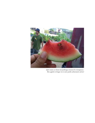 Après toutes ces heures de jardinage viennent les récompenses.
 Bon appétit et longue vie à votre jardin alimentaire aérien!
 