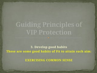Vip Protection Exercise Guiding Principles of VIP Protection.pptx