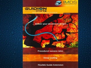 Guidion - IMDS Product | PPTX