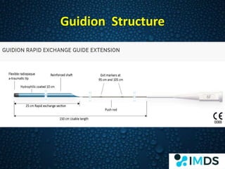 Guidion - IMDS Product | PPTX