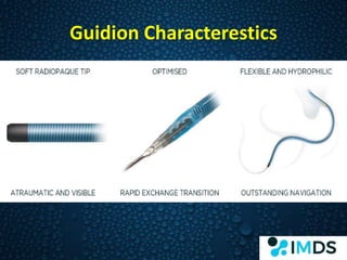 Guidion - IMDS Product | PPTX