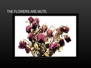 THE FLOWERS ARE MUTE. 