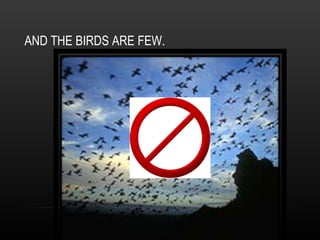 AND THE BIRDS ARE FEW. 