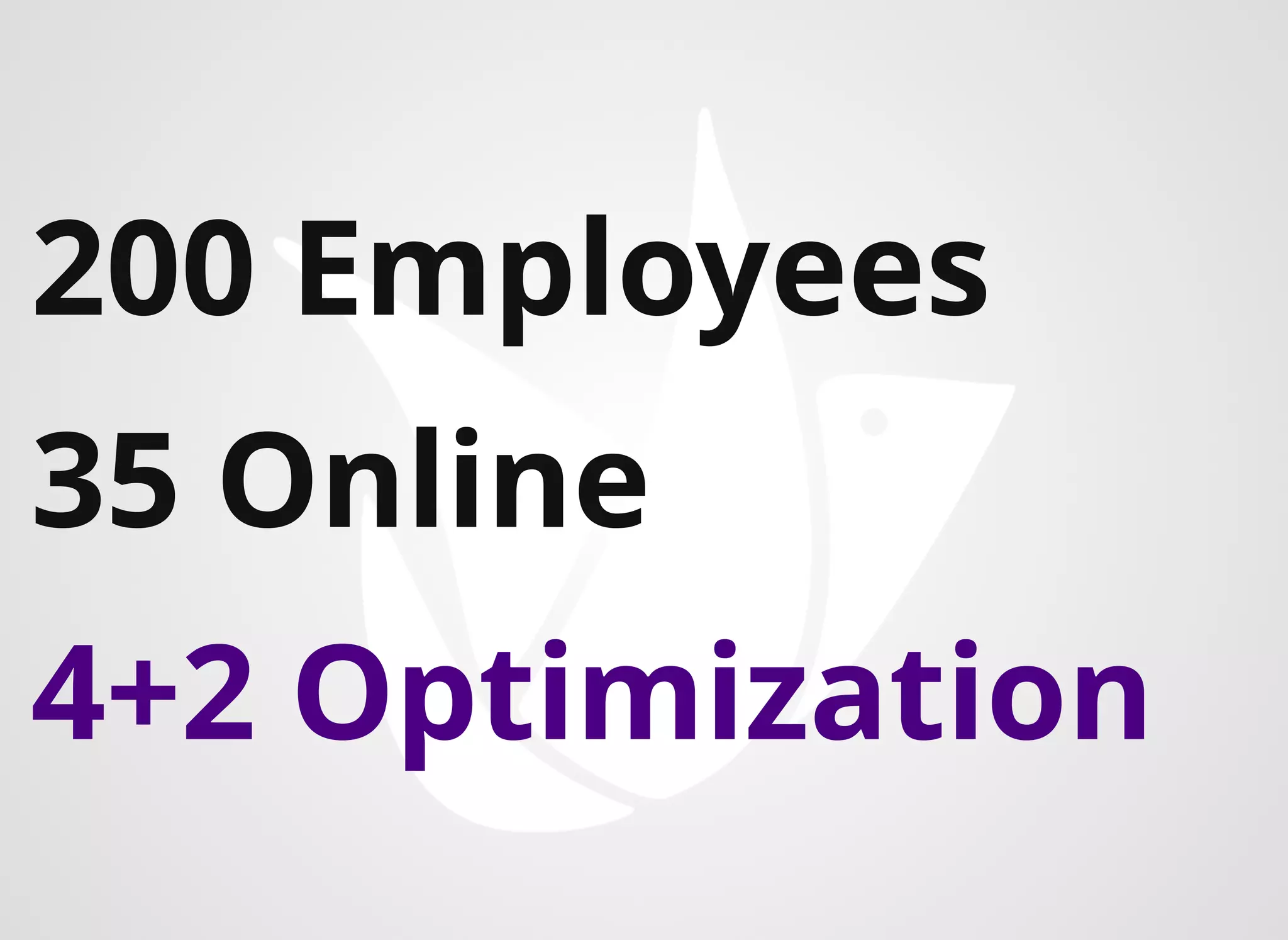 200 Employees
35 Online
4+2 Optimization
 