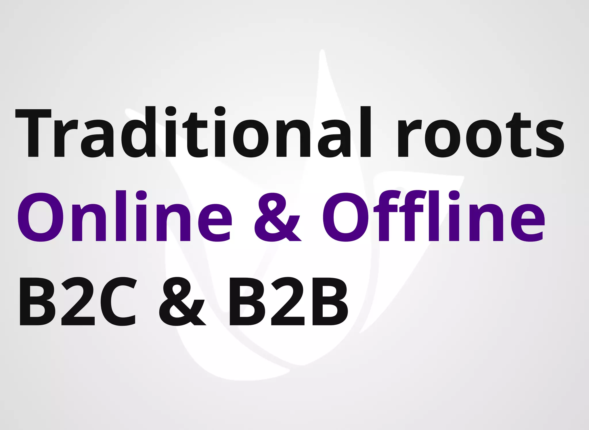 Traditional roots
Online & Oﬄine
B2C & B2B​​​
 