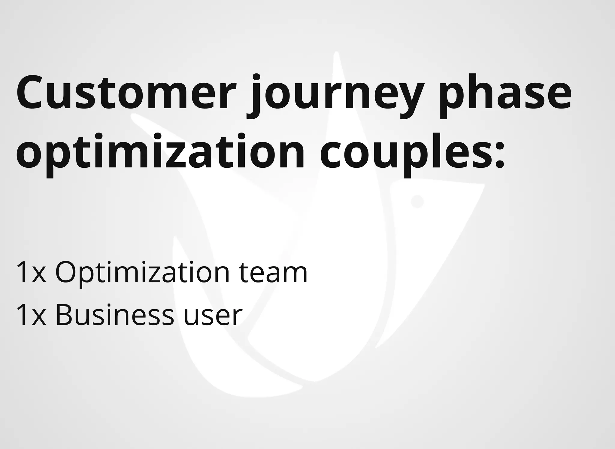 Customer journey phase
optimization couples:
1x Optimization team
1x Business user​​
 