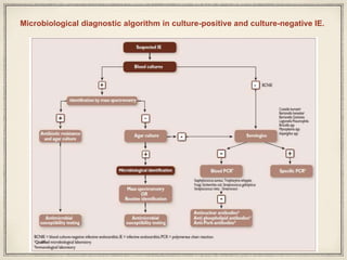 Wound Culture Algorithm Guidelines of diagnosis, prevension and treatment of Infective ...