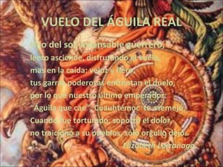 VUELO DEL ÁGUILA REAL
Hijo del sol, incansable guerrero,
lento asciende, disfrutando el vuelo,
mas en la caída: veloz y fiero,
tus garras poderosas enfrentan el duelo,
por lo que nuestro último emperador:
“Águila que cae”, Cuauhtémoc te asemejó,
Cuando fue torturado, soportó el dolor,
no traicionó a su pueblos, sólo orgullo dejó.
Elizabeth Larrañaga.
 